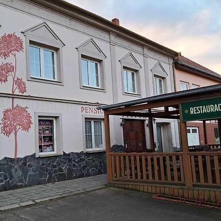 Отель Pension Pavir Zidlochovice Экстерьер фото